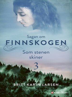 cover image of Som stenen skiner